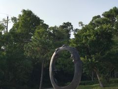 -广东惠东海龟国家级自然保护区