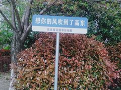 -高东镇樱花园