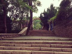 -观象山公园