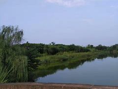 -白鹭湾湿地公园