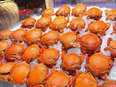 -武汉马哥孛罗酒店