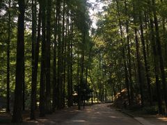 -灵栖洞天
