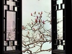 -耦园