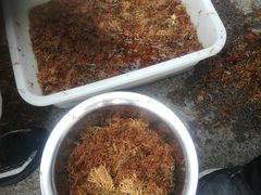 -鲜菌江湖正宗野生菌火锅