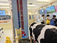 -红星前进面包牛奶公司(君太店)