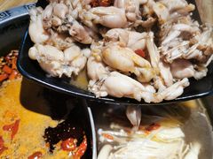 美蛙-销魂美蛙鱼头火锅(上海首店)