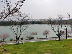 -羊山湖公园