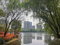 -杭州城北体育公园