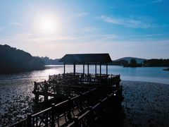 -上海市保健医疗中心