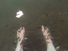 -宝丽金大酒店·洗浴中心