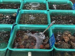 -浩运·海鲜青岛菜·海胆水饺(石老人店)