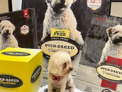 -帕帕拉兹宠物(亚洲旗舰店)