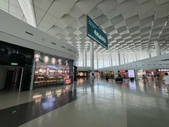 -郑州新郑国际机场-T2航站楼
