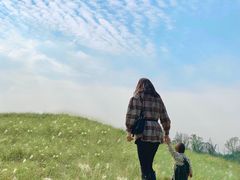 -白鹭湾湿地公园