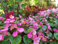 -长春市南湖公园