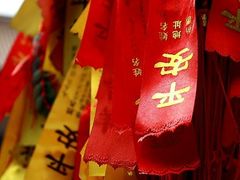 -亭林园-华藏寺