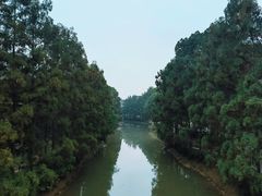 -东涌水乡风情街