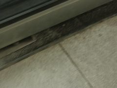 -川渔居—鱼火锅(八方汇店)