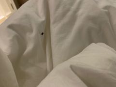 -大自然会所(泉秀店)