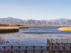 -野鸭湖国家湿地公园