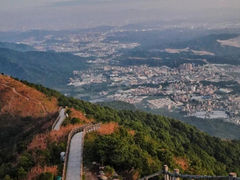 -东莞市大岭山森林公园