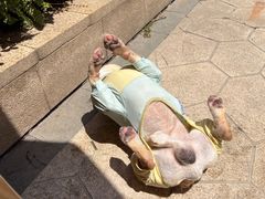 -帕帕拉兹宠物(亚洲旗舰店)