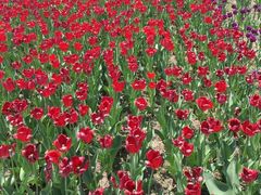 -长春公园(普阳街道)