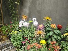 -巴巴新生活·四合院会议·疗愈团建.品牌活动
