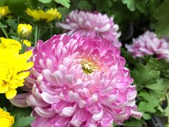 景点-无锡惠山寺