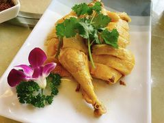 白切文昌鸡-墨脱石锅椰子鸡•香草鸭•东山羊(大东海店)