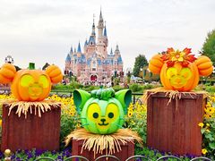 -上海迪士尼度假区