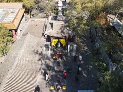 -大槐树寻根祭祖园