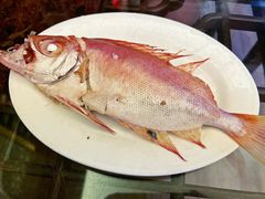 -吴记富苑(朝阳店)