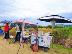 -长广溪湿地公园