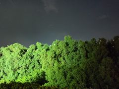 -深圳湾公园(南山区)