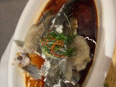-陶缘一号·四季缘·老字号顺德菜·户外婚礼家宴(西滘店)