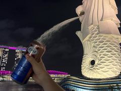 -鱼尾狮公园