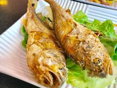 -燕青小馆(东园大厦店)