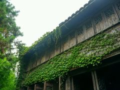 -昭明书院