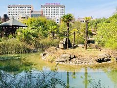 -咸宁万豪温泉谷度假区