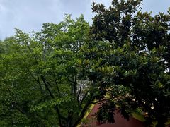 -南岳衡山风景名胜区-南岳大庙