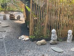 -老房子金沙元年川菜食府·花园餐厅(金沙店)