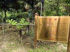 -广州神农草堂中医药博物馆