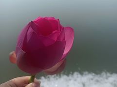 -莲池书院博物馆
