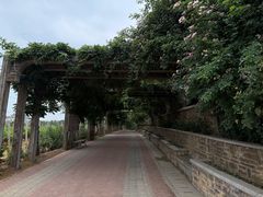 -北京张裕爱斐堡酒庄