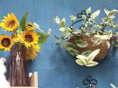 -Golden Lily河内巴黎法越料理餐厅(建国西路店)