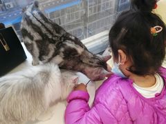 -怪兽屋·羊驼·猫咖·狗咖(俊华广场店)