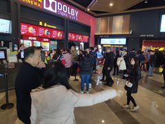 -万达影城(闵行颛桥万达广场杜比影院店)