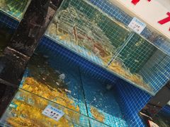 -渔满仓海鲜渔家(象山二店)