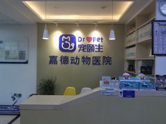 -宠颐生嘉德动物医院